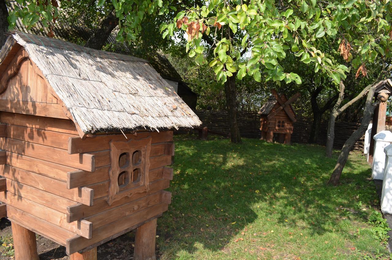 Transit Hotel Dyakovtsy Zewnętrze zdjęcie